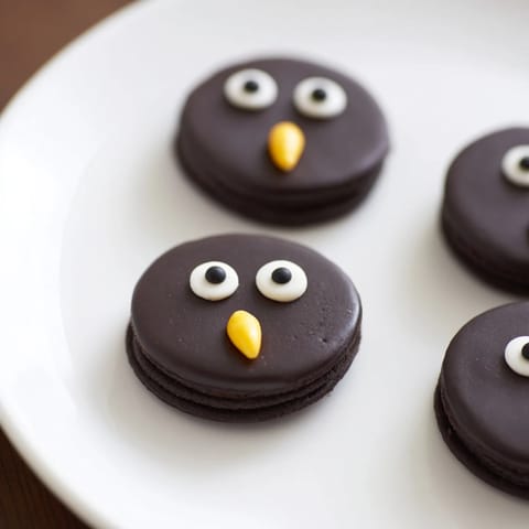 Hoot Hoot Owl Treat Tray